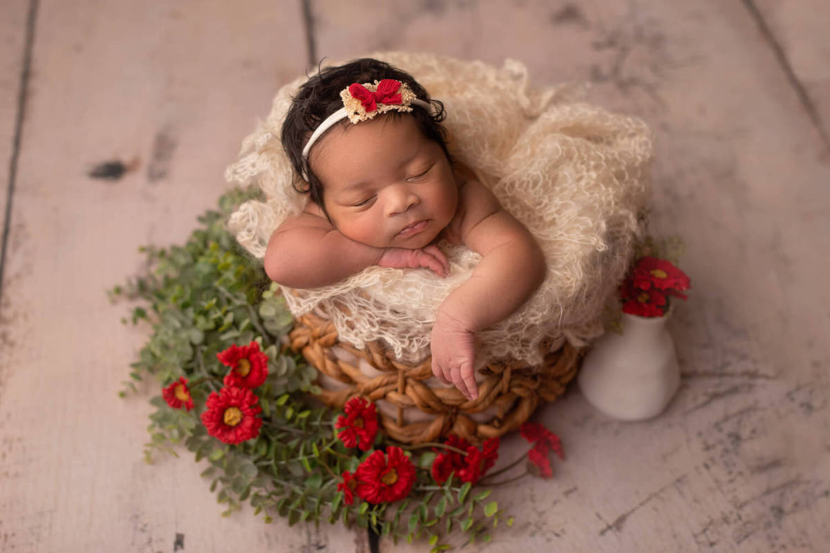 Baby sales portrait studio