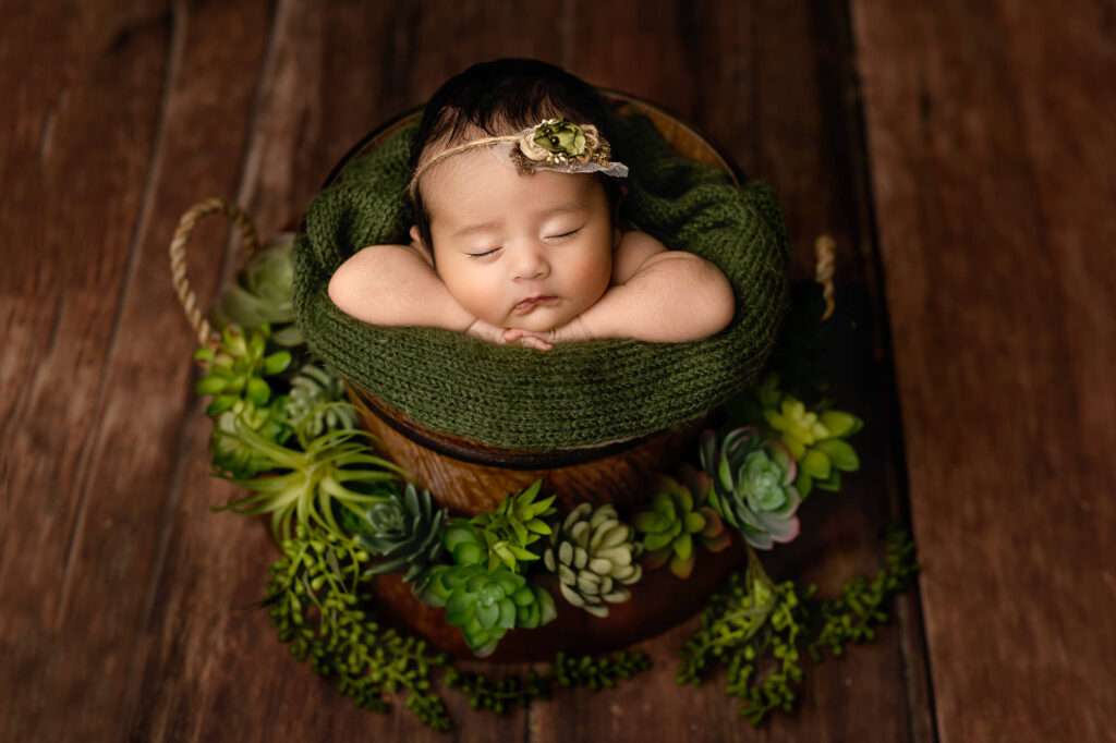 newborn baby girl in the bucket with succulents photographed by San Diego Newborn photographer